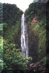 Les chutes du Carbet